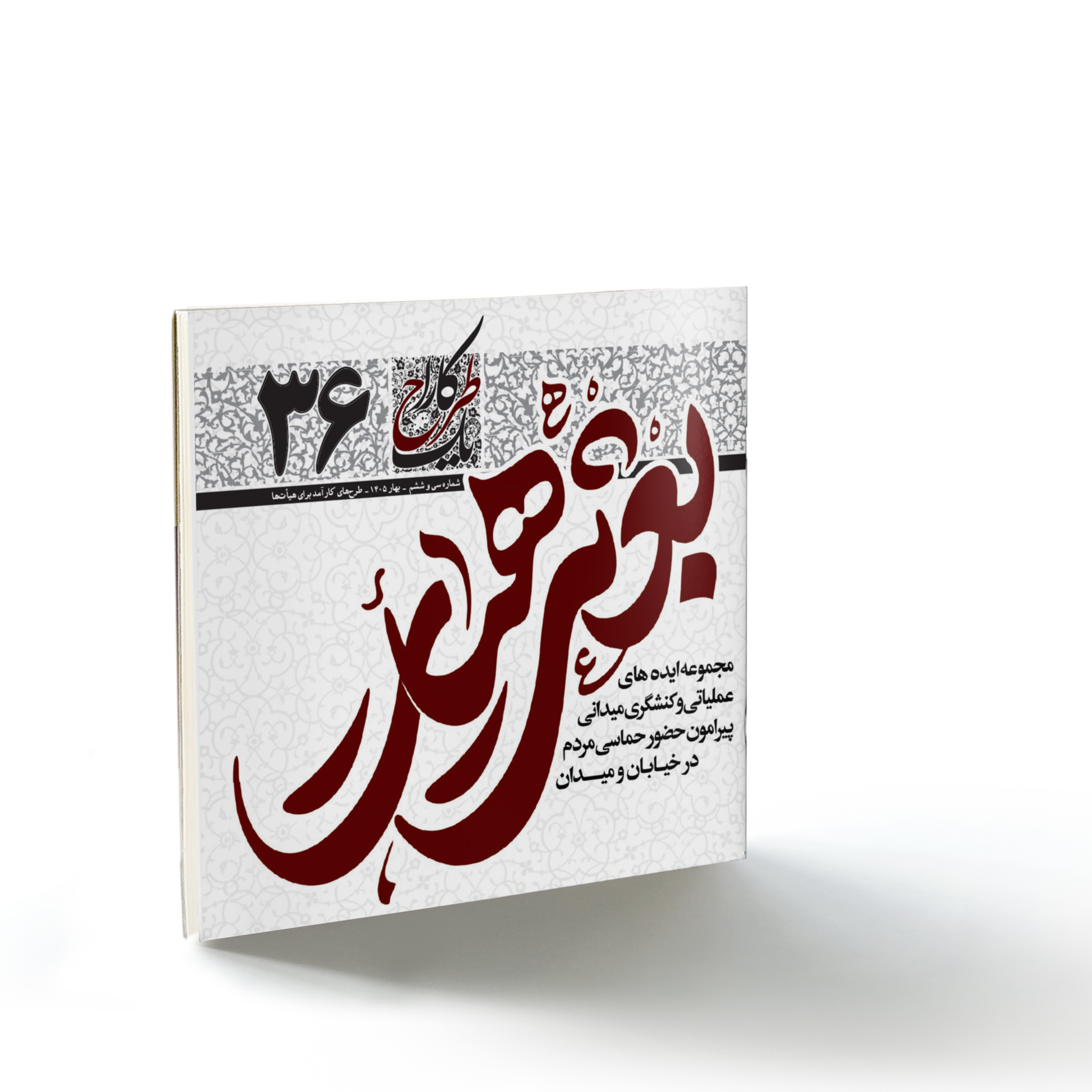 یک طرح کارا۳۶: بعثت هیأت